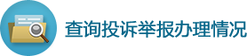 查詢投訴舉報辦理情況