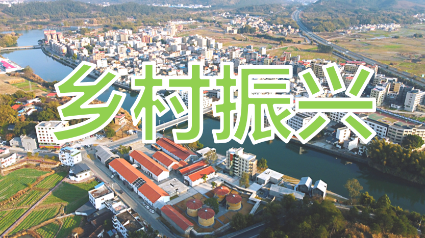 鄉村振興專欄