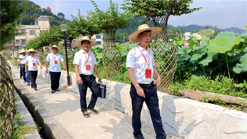 代表視察夢里荷鄉(xiāng)—荷花田.jpg