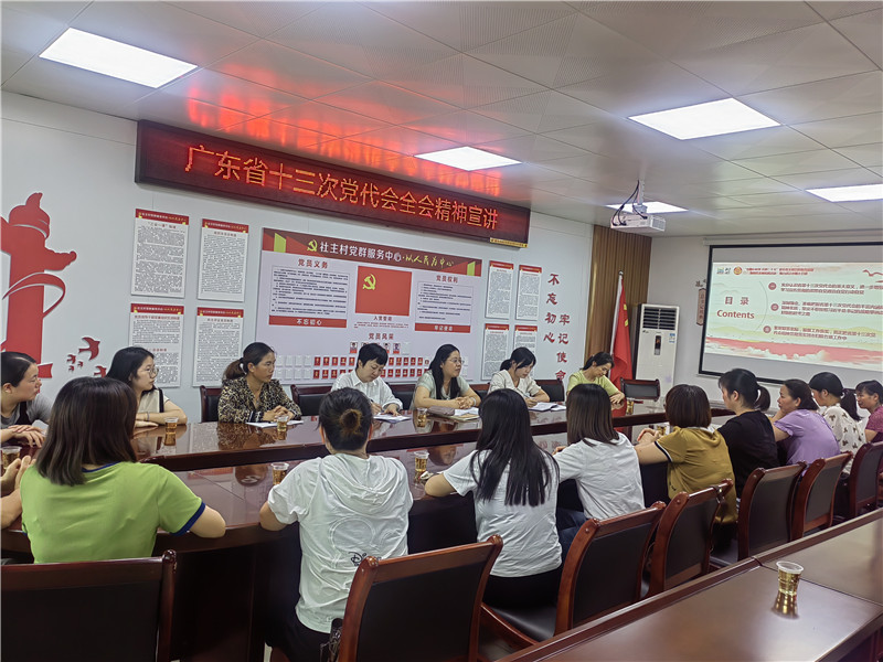 龍歸鎮開展省十次黨代會精神宣講.jpg