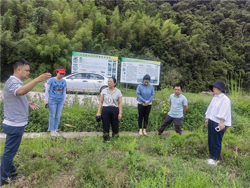 調(diào)研江灣鎮(zhèn)天冬創(chuàng)業(yè)基地.jpg