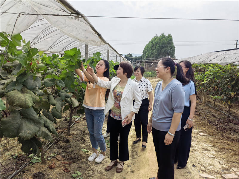 調(diào)研巾幗創(chuàng)業(yè)基地 (2).jpg
