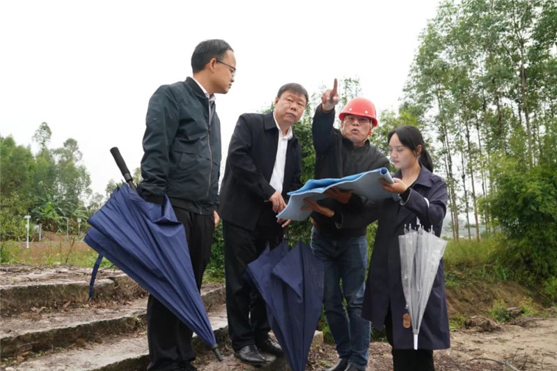 區委書記張廣暉到龍歸鎮調研水生態環境綜合治理和文化旅游工作