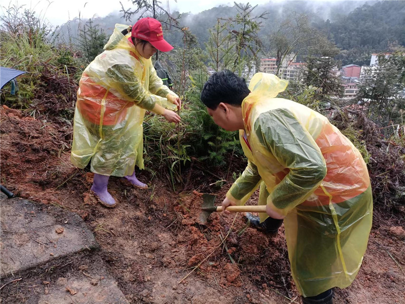 植樹現場 (2).jpg