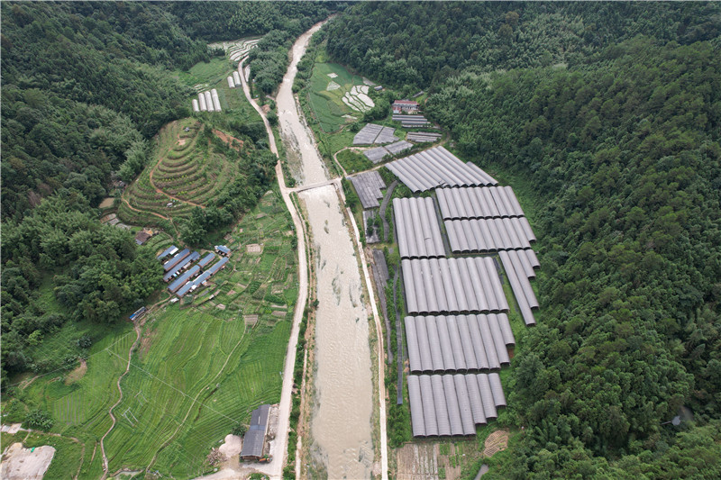江灣石斛產業基地.jpg