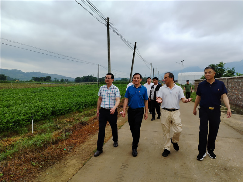 圖為人大機(jī)關(guān)黨員干部參觀番靈千畝有機(jī)蔬菜基地.jpg