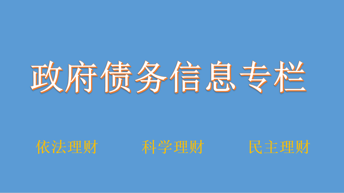 政府債務信息專欄