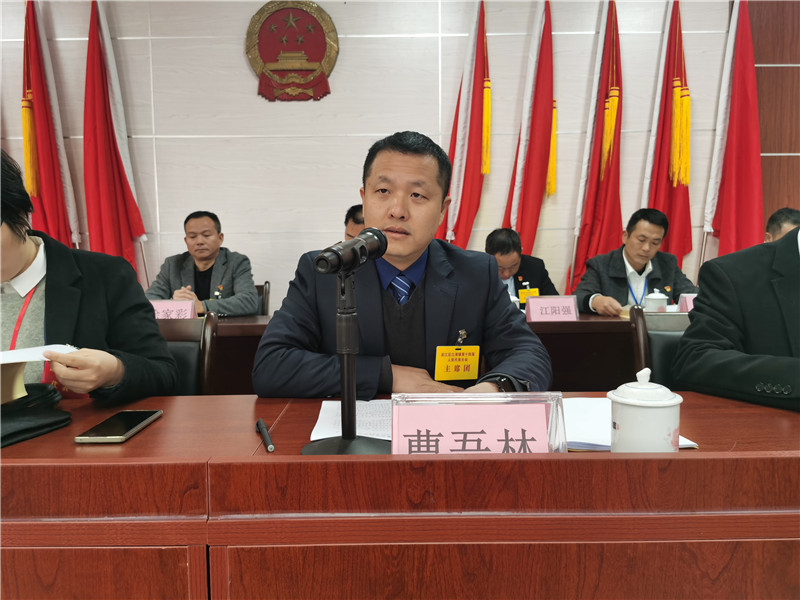 江灣鎮黨委書記曹吾林會議總結發言.jpg