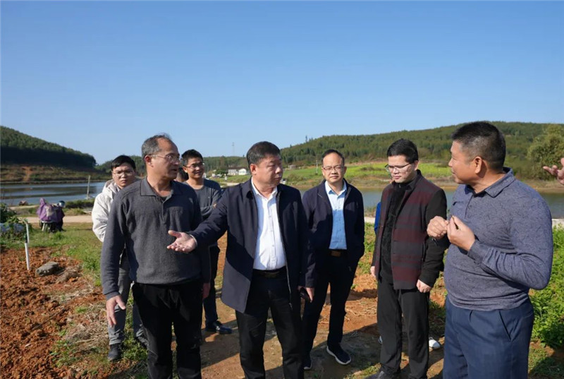 區委書記張廣暉調研農文旅項目推進工作，持續推動全區農文旅產業高質量發展