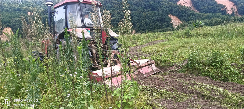 百合種植基地開始打地 (1).jpg