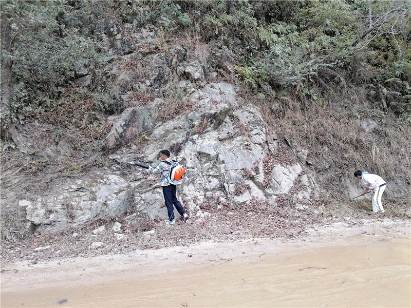 清理沿路干草、落葉等可燃物.jpg