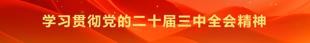 學(xué)習(xí)貫徹黨的二十屆三中全會(huì)精神