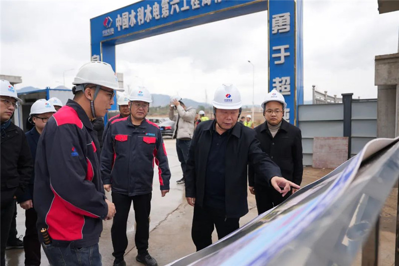 區委書記張廣暉到龍歸鎮調研項目建設進展情況