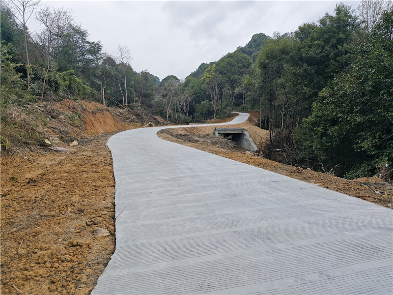 道路建設現場1.jpg