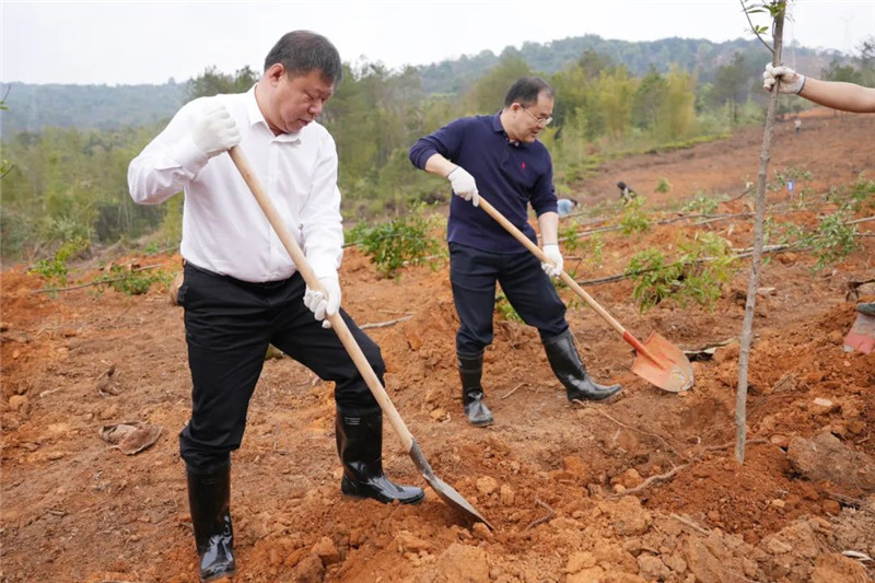 武江區舉行2025年“我為全運會種棵樹”主題植樹活動