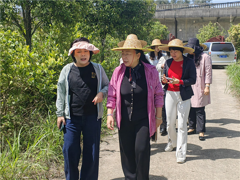 參觀山蕉村種養基地.jpg