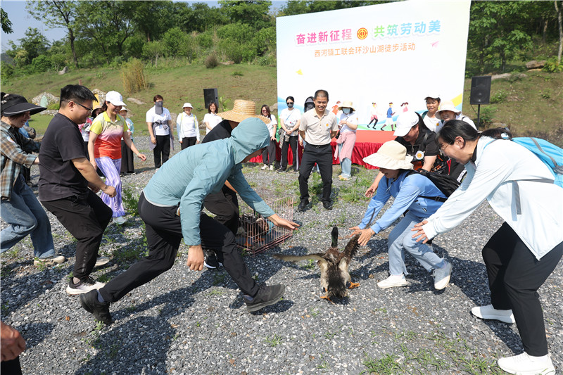 徒步活動前開展“加油鴨”熱身游戲.jpg