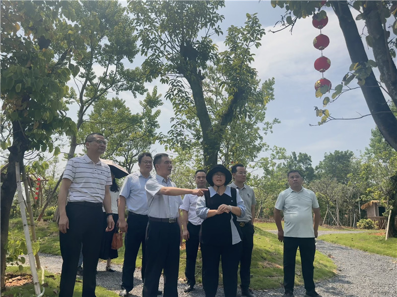 區人大主任到武江產業花卉園調研.jpg