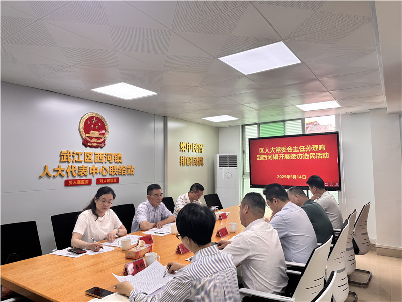 區人大主任孫理鳴到鎮中心聯絡站接訪群眾-2.jpg