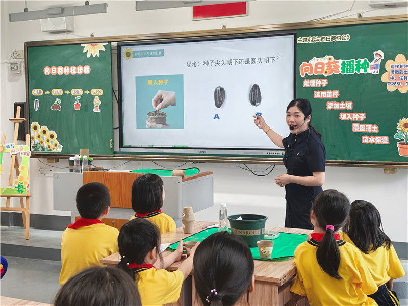 黃柳艷老師上綜合實踐活動課《我與向日葵約會之向日葵播種.jpg